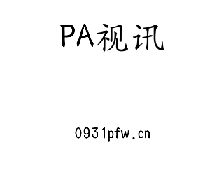 安徽PA视讯电气科技有限公司